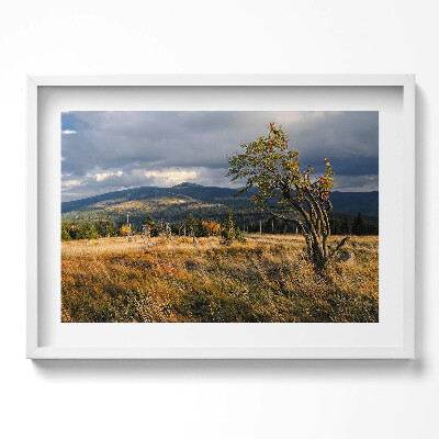 Tablou living cu rama excepţional Karkonosze în toamnă