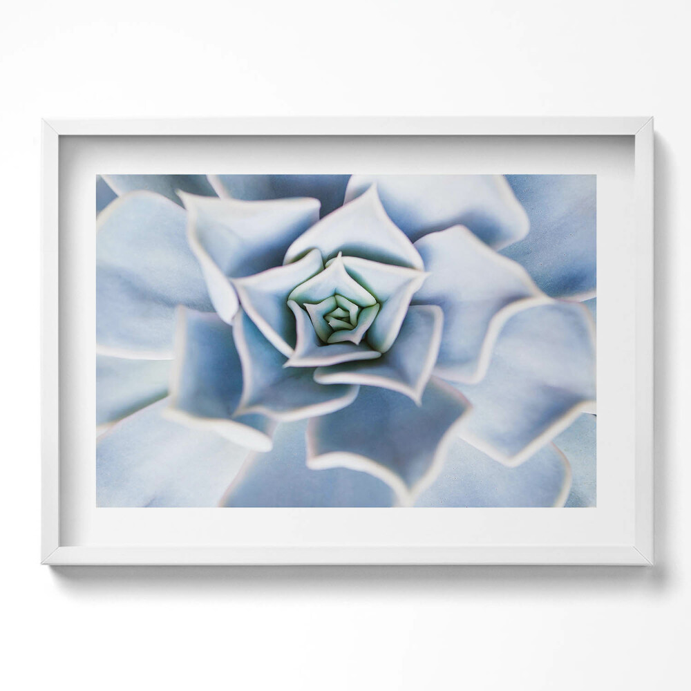 Tablou living cu rama excepţional Floare de plantă