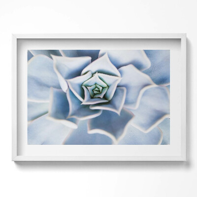 Tablou living cu rama excepţional Floare de plantă