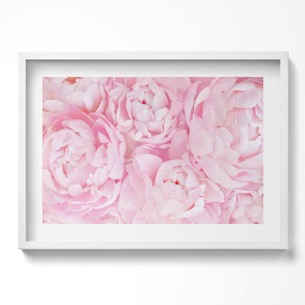 Tablou living cu rama excepţional Bujori delicați