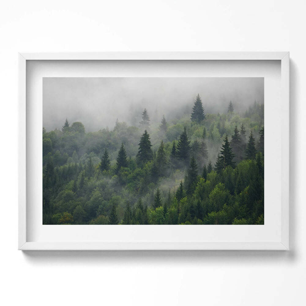 Tablou living cu rama excepţional Peisaj de pădure în ceață
