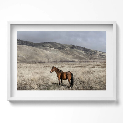 Tablou living cu rama excepţional Un cal călare printre iarbă