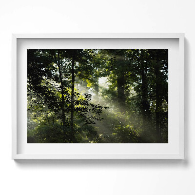 Tablou living cu rama excepţional Razele soarelui și copacii