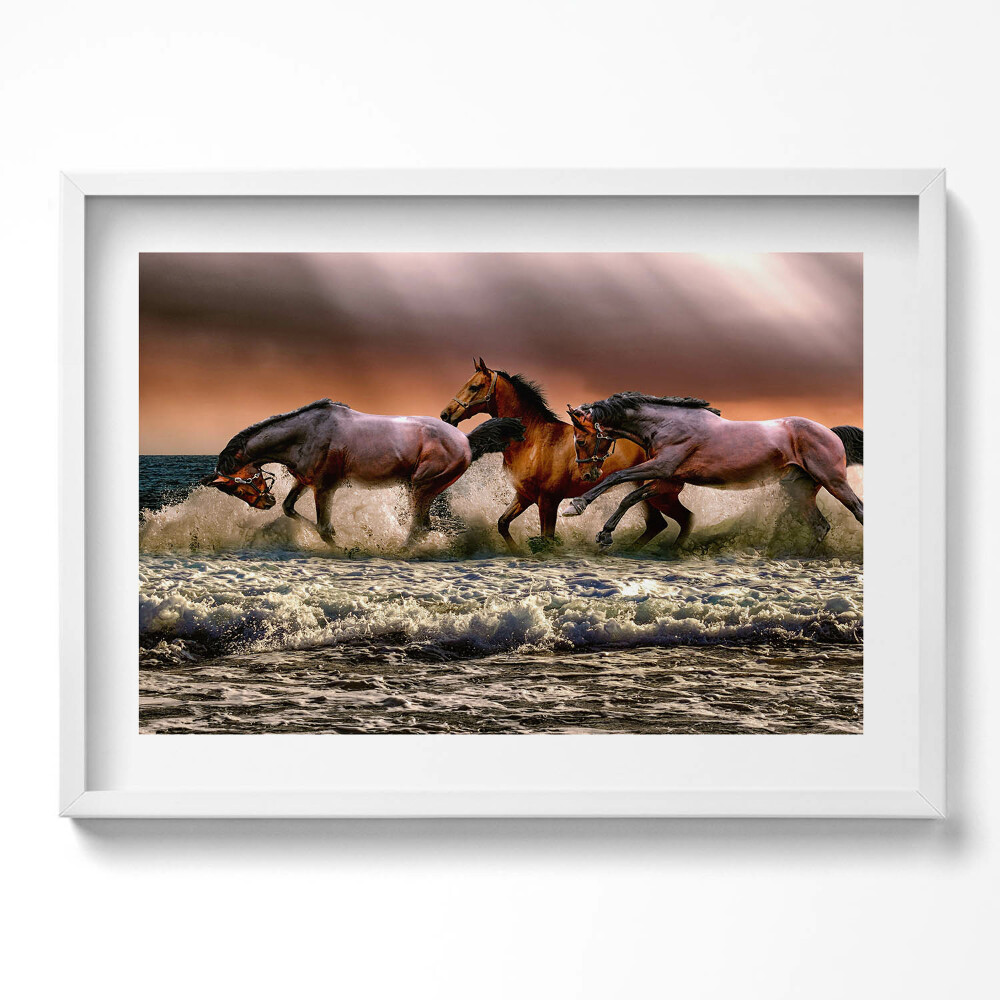 Tablou living cu rama excepţional Cai galopând prin apă