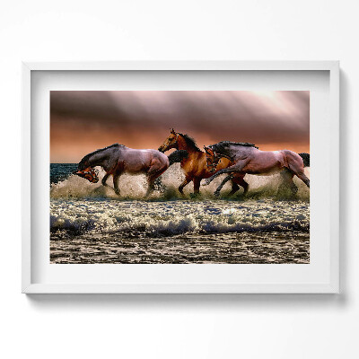 Tablou living cu rama excepţional Cai galopând prin apă