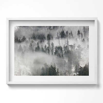 Tablou rama excepţional Peisaj de pădure cețos