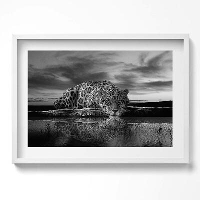 Tablou rama excepţional Leopard alb-negru animal sălbatic