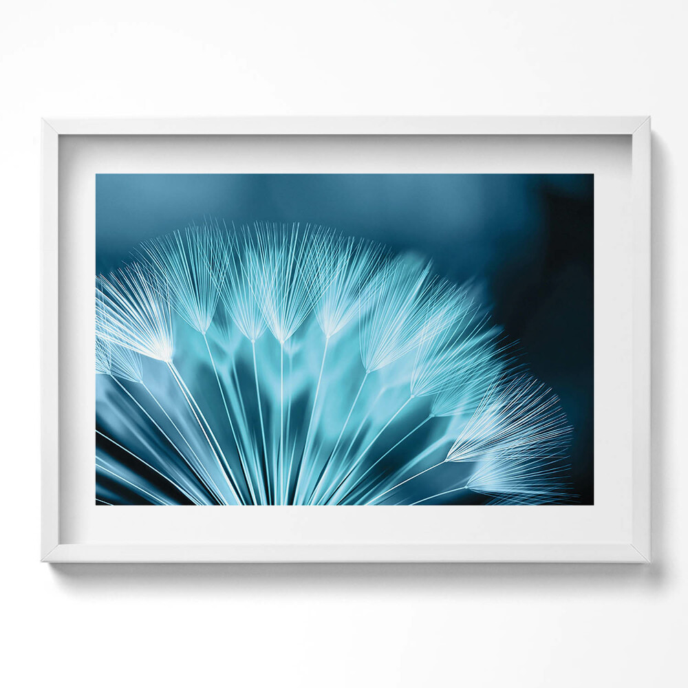 Tablou living cu rama excepţional Prim-plan al unei păpădii