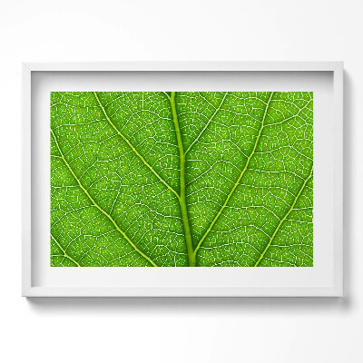 Tablou living cu rama excepţional Venele frunzelor verzi