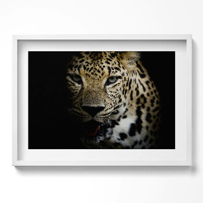 Tablou living cu rama excepţional Tigru sălbatic în negru