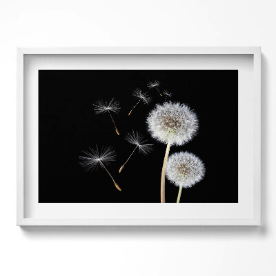 Tablou rama excepţional Două păpădii