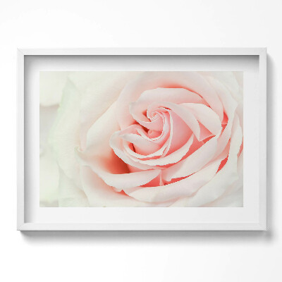 Tablou rama excepţional Prim-plan al petalelor de trandafir