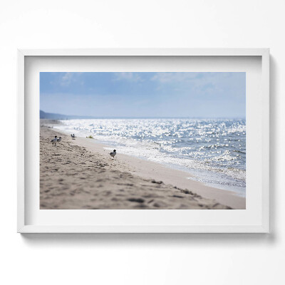 Tablou rama excepţional Valurile mării și o pasăre pe plajă