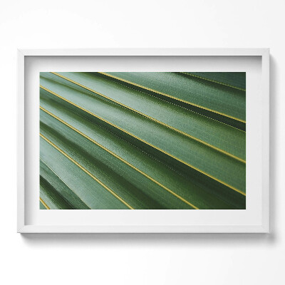 Tablou living cu rama excepţional Textură de plantă verde