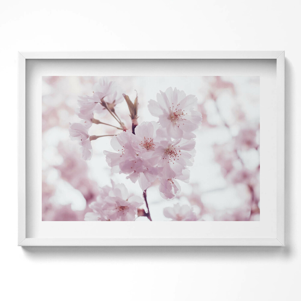 Tablou living cu rama excepţional Flori delicate de culoare roz pal