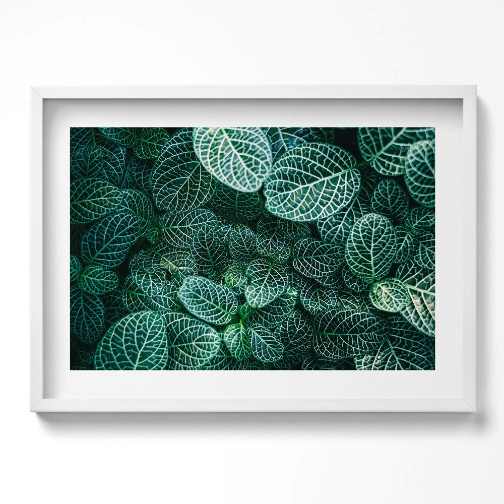 Tablou rama excepţional Frunze verzi sălbatice