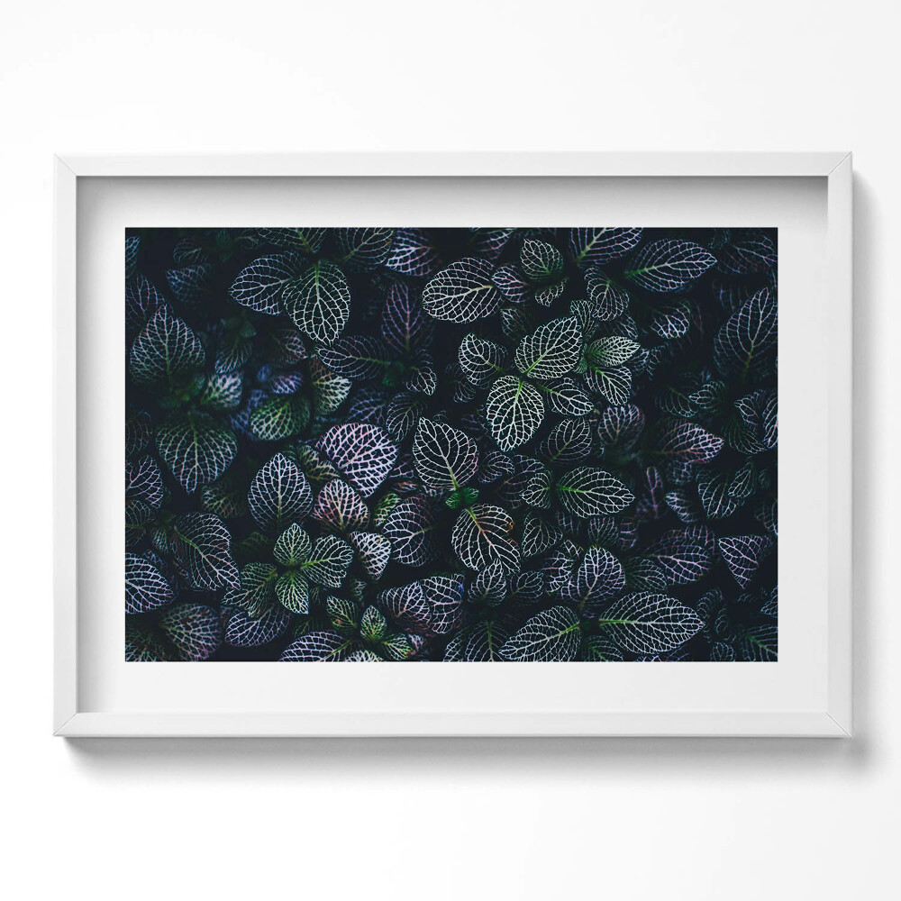 Tablou living cu rama excepţional Frunze sălbatice întunecate