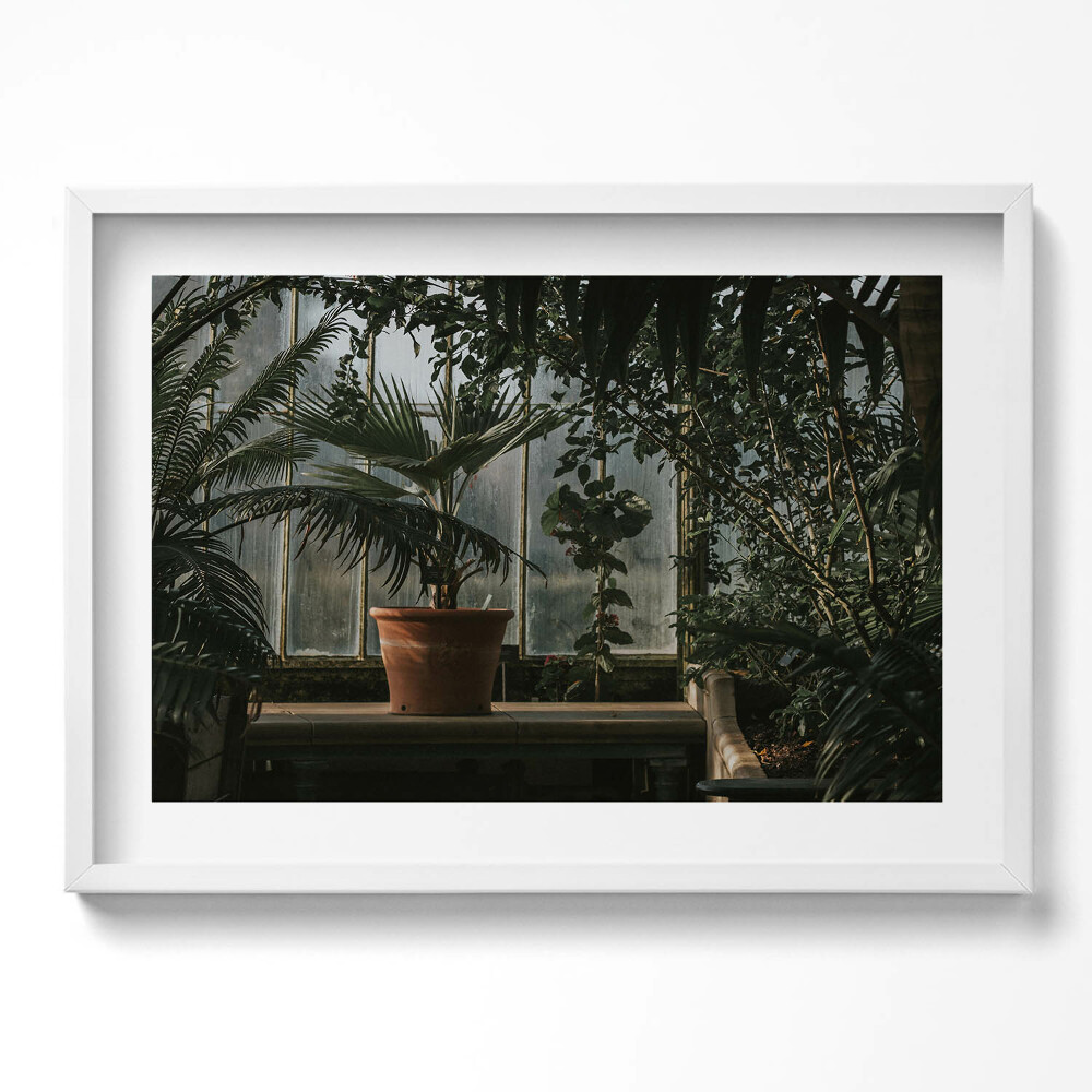 Tablou living cu rama excepţional Plante vintage pe fereastră