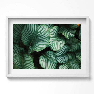 Tablou living cu rama excepţional Frunze mari și verzi