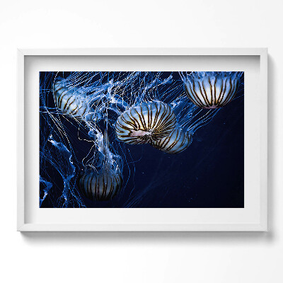 Tablou living cu rama excepţional Meduze albastre în apă