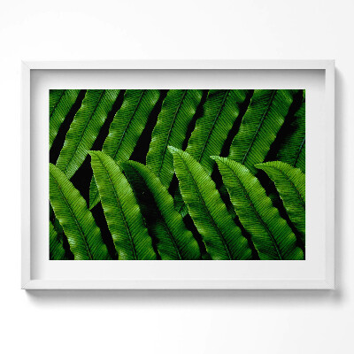 Tablou rama excepţional Frunze verzi de aproape