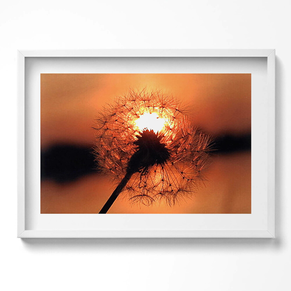 Tablou living cu rama excepţional Păpădie la apus