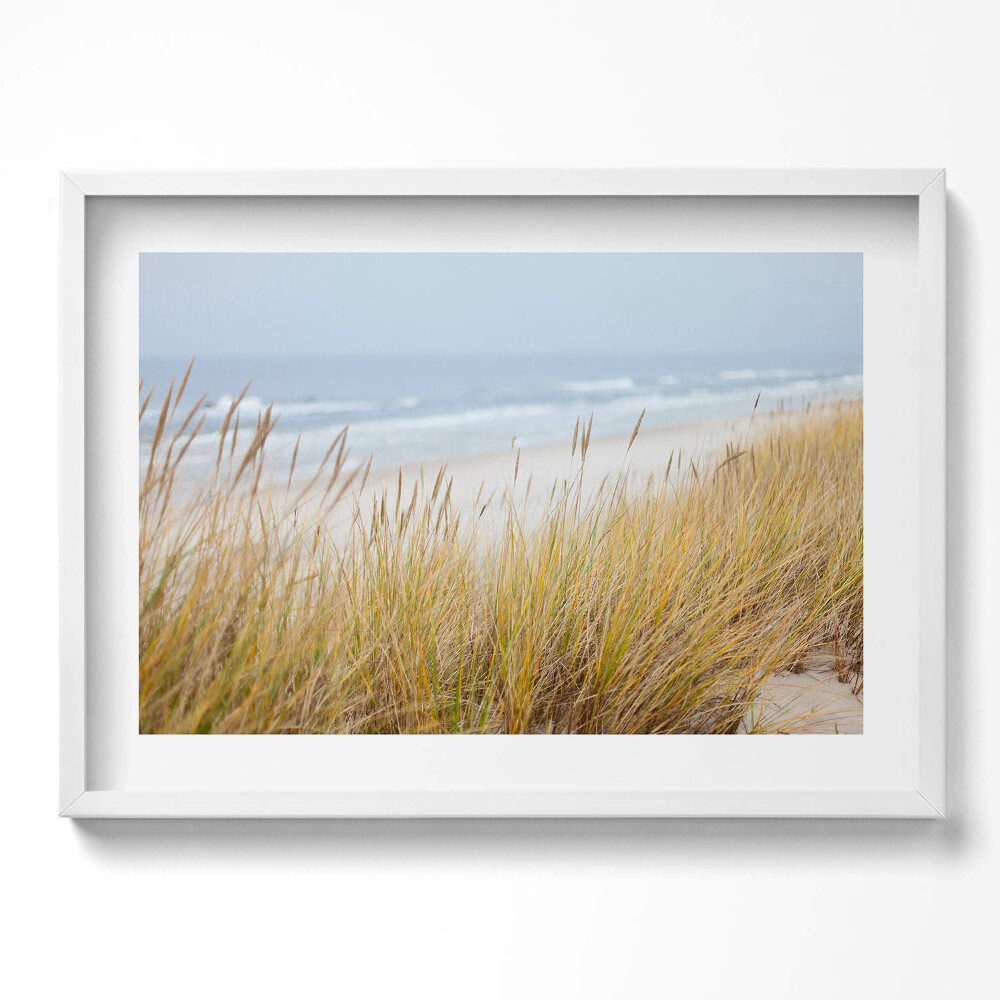Tablou living cu rama excepţional Peisaj de plajă și iarbă de pe malul mării