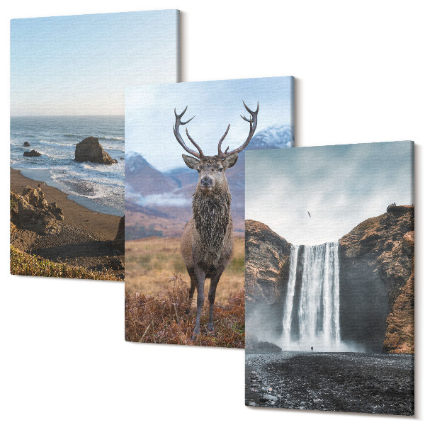 Tablou 3 piese Peisaje montane cu o cascadă, o căprioară și o plajă