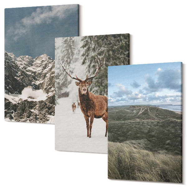 Set tablouri canvas triptic Munți cu zăpadă, căprioare în pădure, peisaje