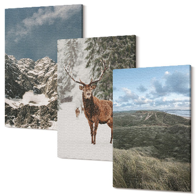 Set tablouri canvas triptic Munți cu zăpadă, căprioare în pădure, peisaje