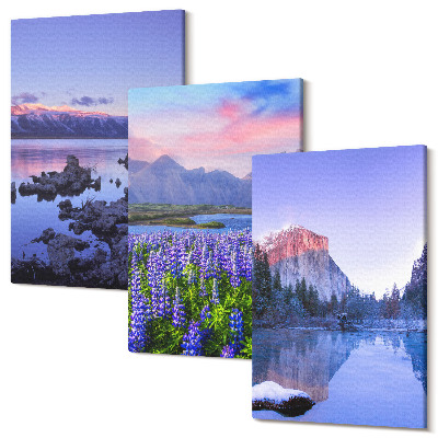 Tablou 3 piese Peisaje montane cu apa, cer si un camp de flori