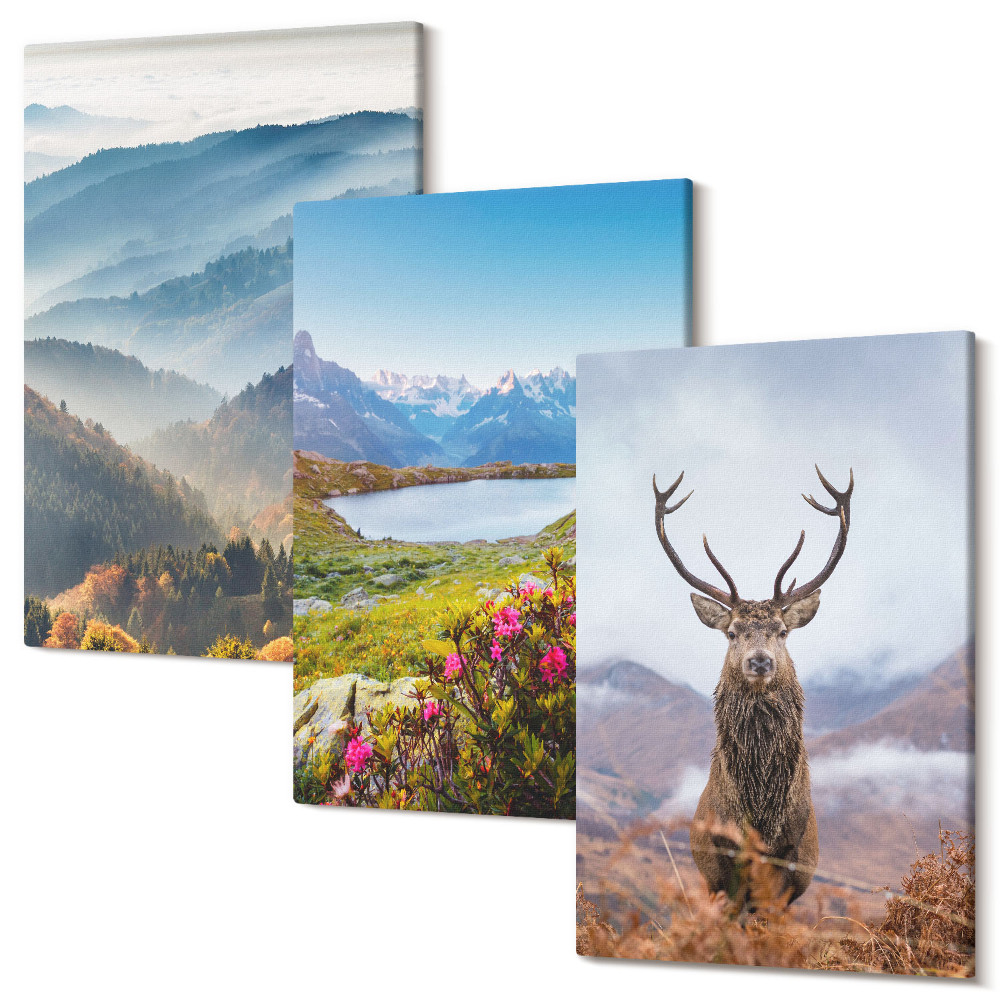 Set tablouri canvas triptic Peisaje montane cu un lac și căprioare în natură