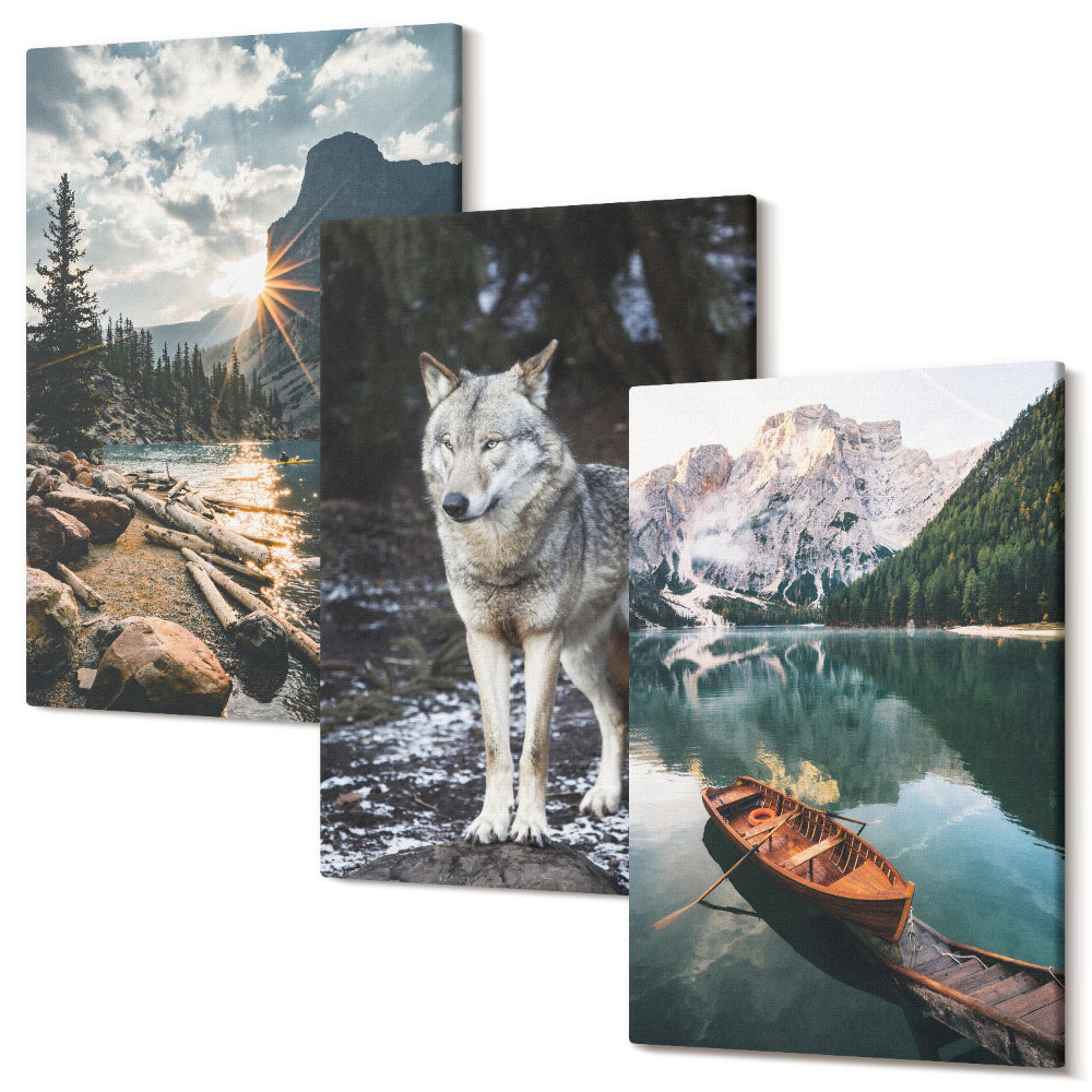 Set tablouri canvas triptic Munți, lacuri și un lup într-un cadru natural