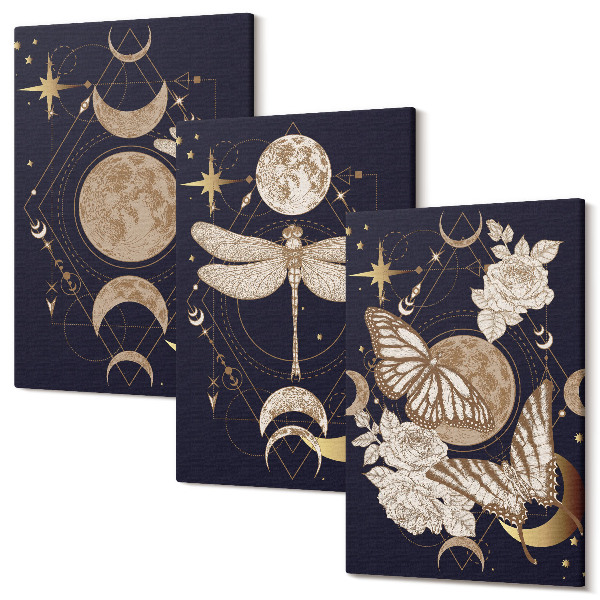 Tablou 3 piese Motive ale naturii cu luna, spațiul și florile