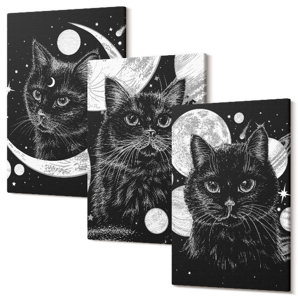 Tablou 3 piese Pisici negre pe fundalul lunii și planetelor din spațiu