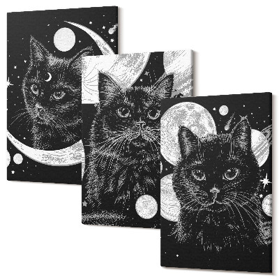 Tablou 3 piese Pisici negre pe fundalul lunii și planetelor din spațiu