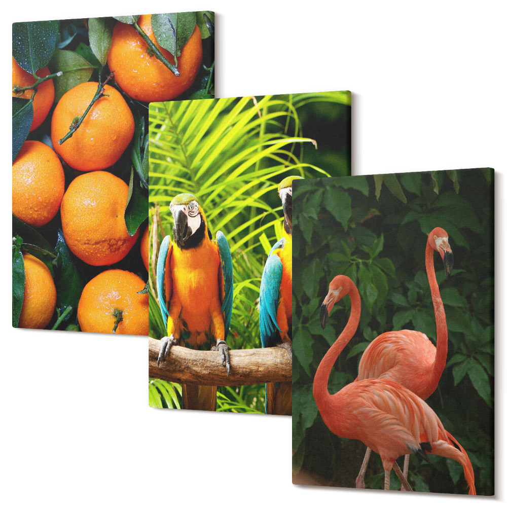 Tablou canvas set triptic Accente fructate cu papagali și flamingo la tropice