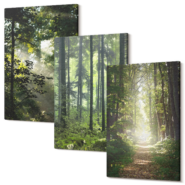 Tablou canvas set triptic Păduri verzi cu raze de lumină și o potecă forestieră