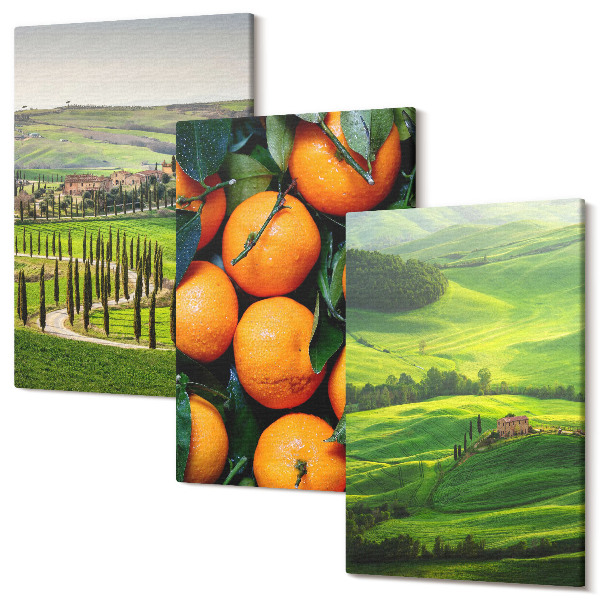 Tablou canvas set triptic Peisaj rural italian cu portocale și natură