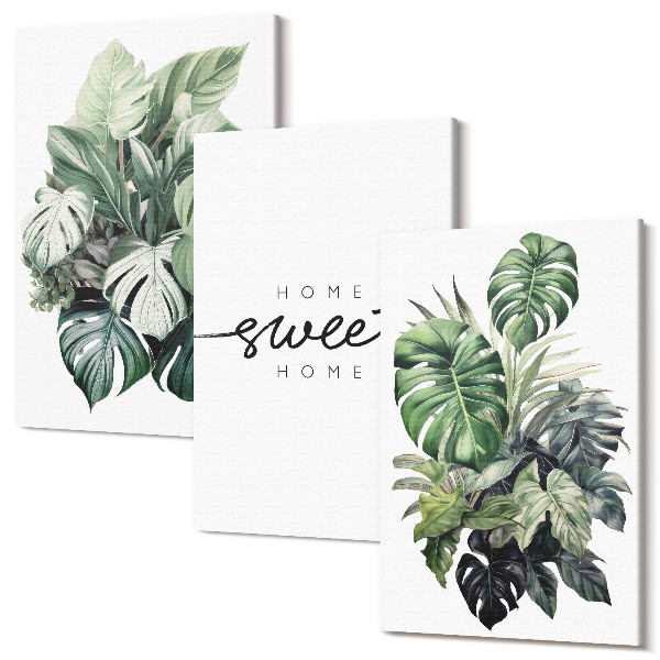 Tablou canvas set triptic Plante verzi cu cuvintele Sweet Home