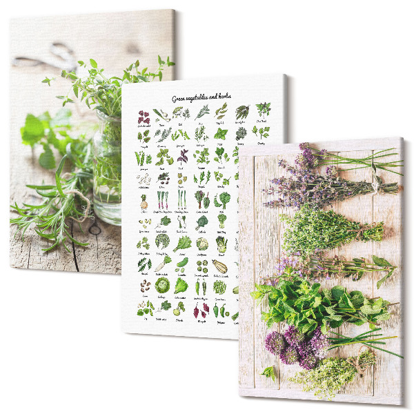 Tablou 3 piese Plante uscate pentru lista de ierburi de bucătărie