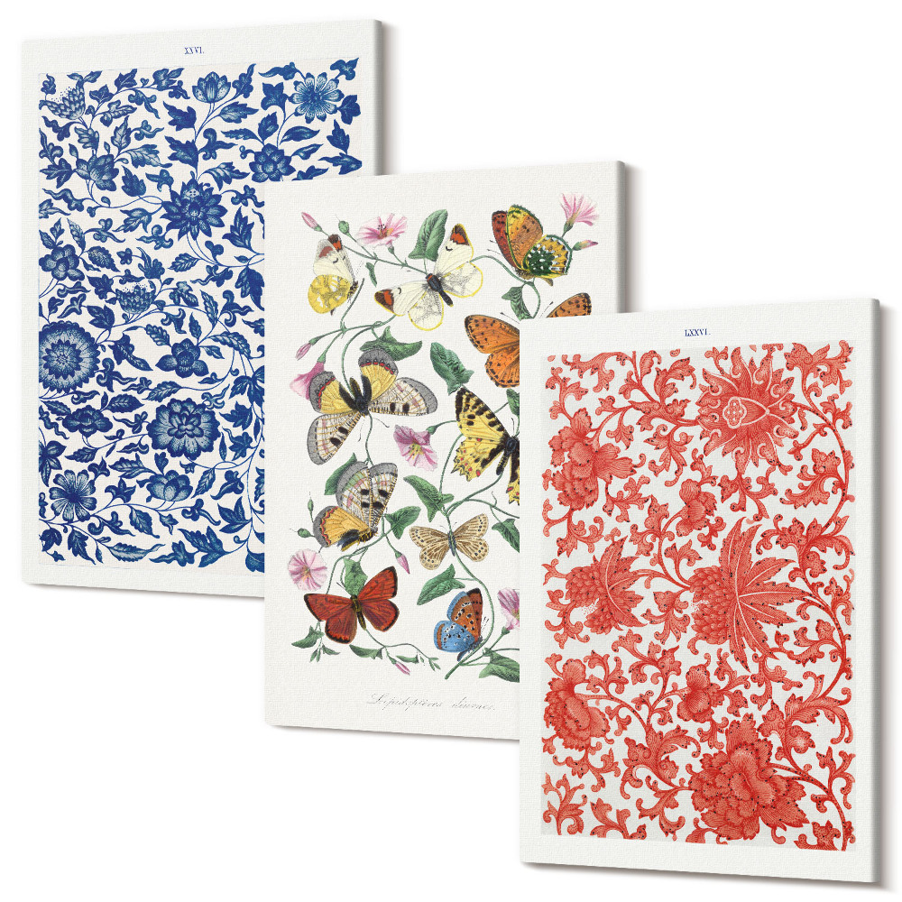 Tablou canvas set triptic Afișe cu flori de epocă, fluturi și ornamente