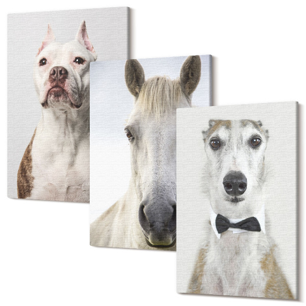 Set tablouri canvas triptic Interesante portrete de câini și cai într-un stil elegant