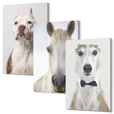 Set tablouri canvas triptic Interesante portrete de câini și cai într-un stil elegant