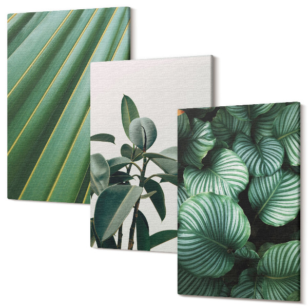 Set tablouri canvas triptic Frunze tropicale estetice în diverse nuanțe de verde
