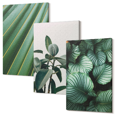Set tablouri canvas triptic Frunze tropicale estetice în diverse nuanțe de verde