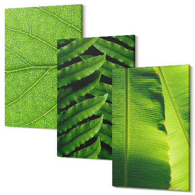 Tablou canvas set triptic Prim-planuri cu frunze tropicale
