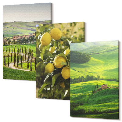 Tablou canvas set triptic Peisaje italiene cu citrice și dealuri verzi