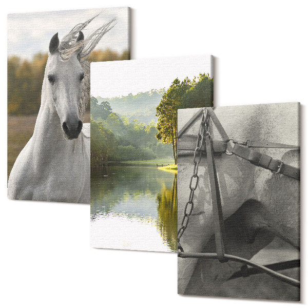 Set tablouri canvas triptic Cai albi lângă râu peisaj natural