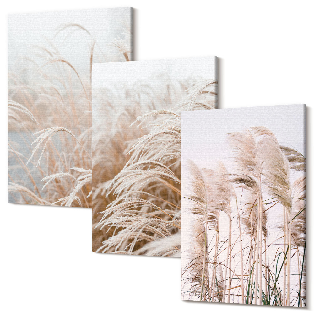 Set tablouri canvas triptic Câmpuri de iarbă în nuanțe delicate de maro și bej